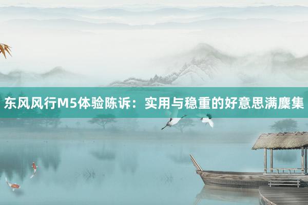 东风风行M5体验陈诉：实用与稳重的好意思满麇集